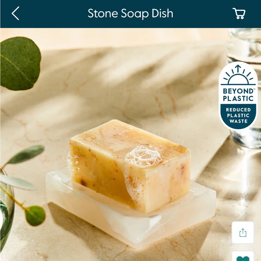 Grove Collaborative Natural Stone Soap Dish